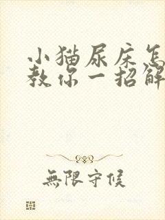 小猫尿床怎么办教你一招解决