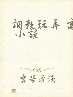 调教玩弄 高潮 小说