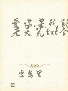 爱你,是我的地老天荒txt全文下载