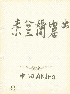 老公婚内出轨跟小三同居