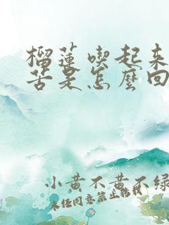 榴莲吃起来有点苦是怎么回事