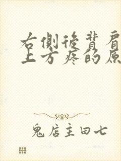 右侧后背肩胛骨上方疼的原因