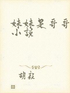 妹妹是哥哥的 小说