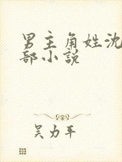 男主角姓沈的全部小说