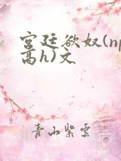 宫廷欲奴(np高h)文