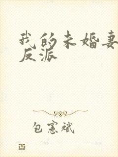 我的未婚妻是女反派