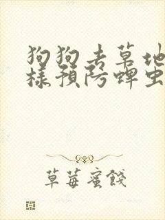 狗狗去草地玩怎样预防蜱虫