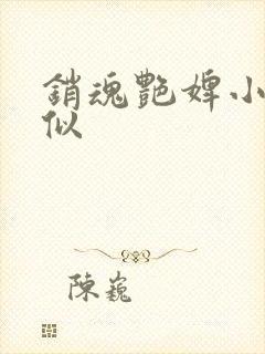 销魂艳婢小说类似