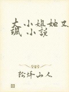 大小姐她又美又飒 小说