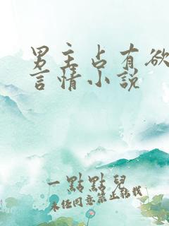 男主占有欲强的言情小说