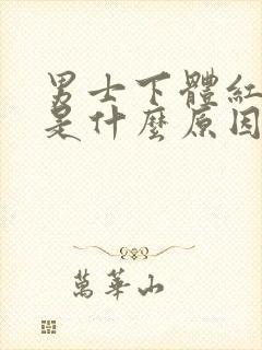 男士下体红点痒是什么原因