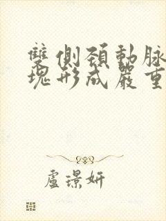 双侧颈动脉内斑块形成严重吗