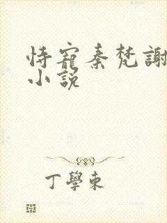 恃宠秦梵谢砚礼小说