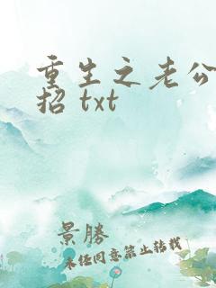 重生之老公请接招 txt