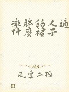 微胖的人适合穿什么裙子