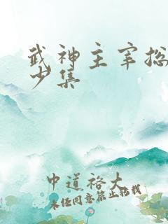 武神主宰总共多少集