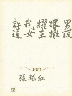 许我耀眼男主知道女主撒谎