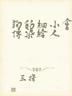 狗的细小会不会传染给人