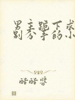 男主跪下求女主别分手的小说