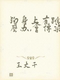 狗身上有跳蚤怎么办,会传染给家人吗