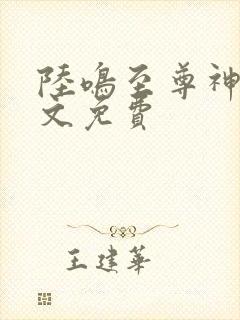 陆鸣至尊神殿全文免费