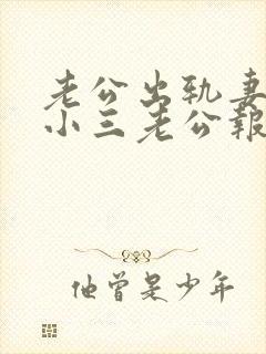 老公出轨妻子找小三老公报复