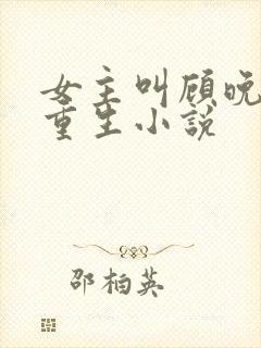 女主叫顾晚晴的重生小说