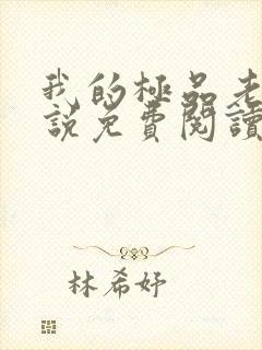 我的极品老婆小说免费阅读全文