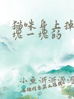 猫咪身上掉毛一块一块的