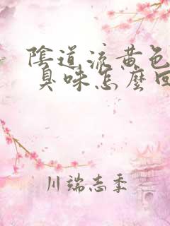 阴道流黄色液体 臭味怎么回事