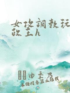 女攻调教玩弄摄政王h