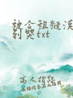 被合租糙汉室友到哭txt