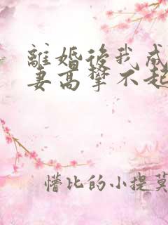 离婚后我成为前妻高攀不起的神