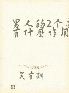 男人的2个睾丸有什么作用