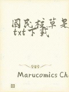 国民校草是女生 txt下载