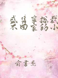 盛隽宁总裁婚后不回家的小说