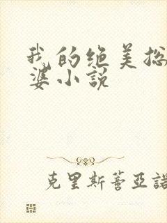 我的绝美总裁老婆小说