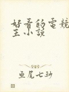 好看的电竞双男主小说