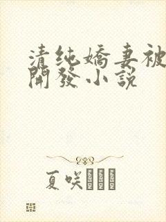 清纯娇妻被别人开发小说