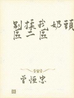 别揉我奶头嗯一区二区