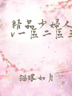 精品少妇人妻av一区二区三区人妖