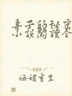 妻子的秘密吴双小说阅读全文