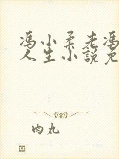 冯小柔老冯风流人生小说免费阅读