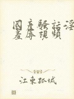 国产骚话淫语,羞辱视频