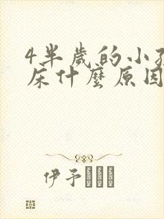 4半岁的小孩尿床什么原因