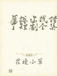 厉总你找错夫人了短剧全集免费观看