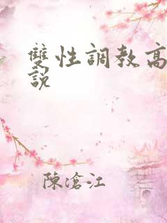 双性调教高h小说