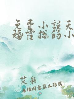 免费小说天价宠婚霍总的小娇妻