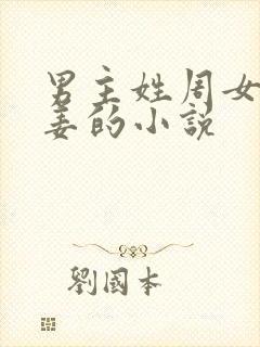 男主姓周女主姓姜的小说