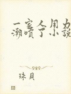 一家人用力哦高潮喷了小说